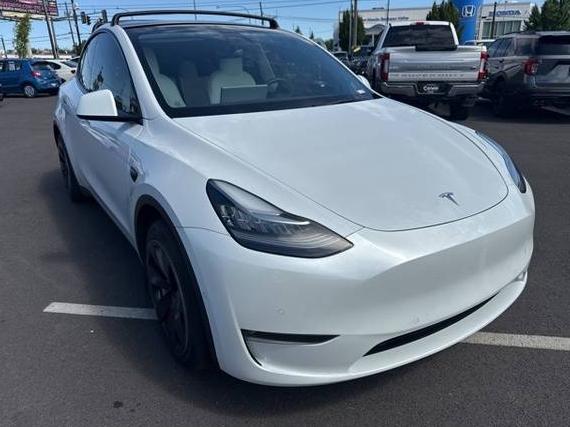 TESLA MODEL Y 2021 5YJYGDEE7MF298970 image